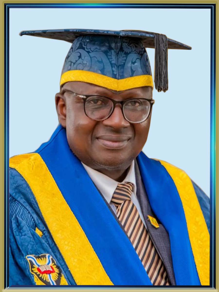 Vice-chancellor